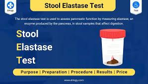 what is Faecal Elastase ?  why Faecal Elastase Testing is Done